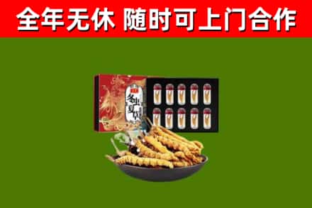 新城区回收冬虫夏草价格