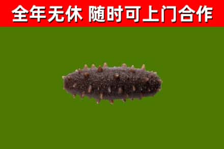 新城区烟酒回收干海参.jpg